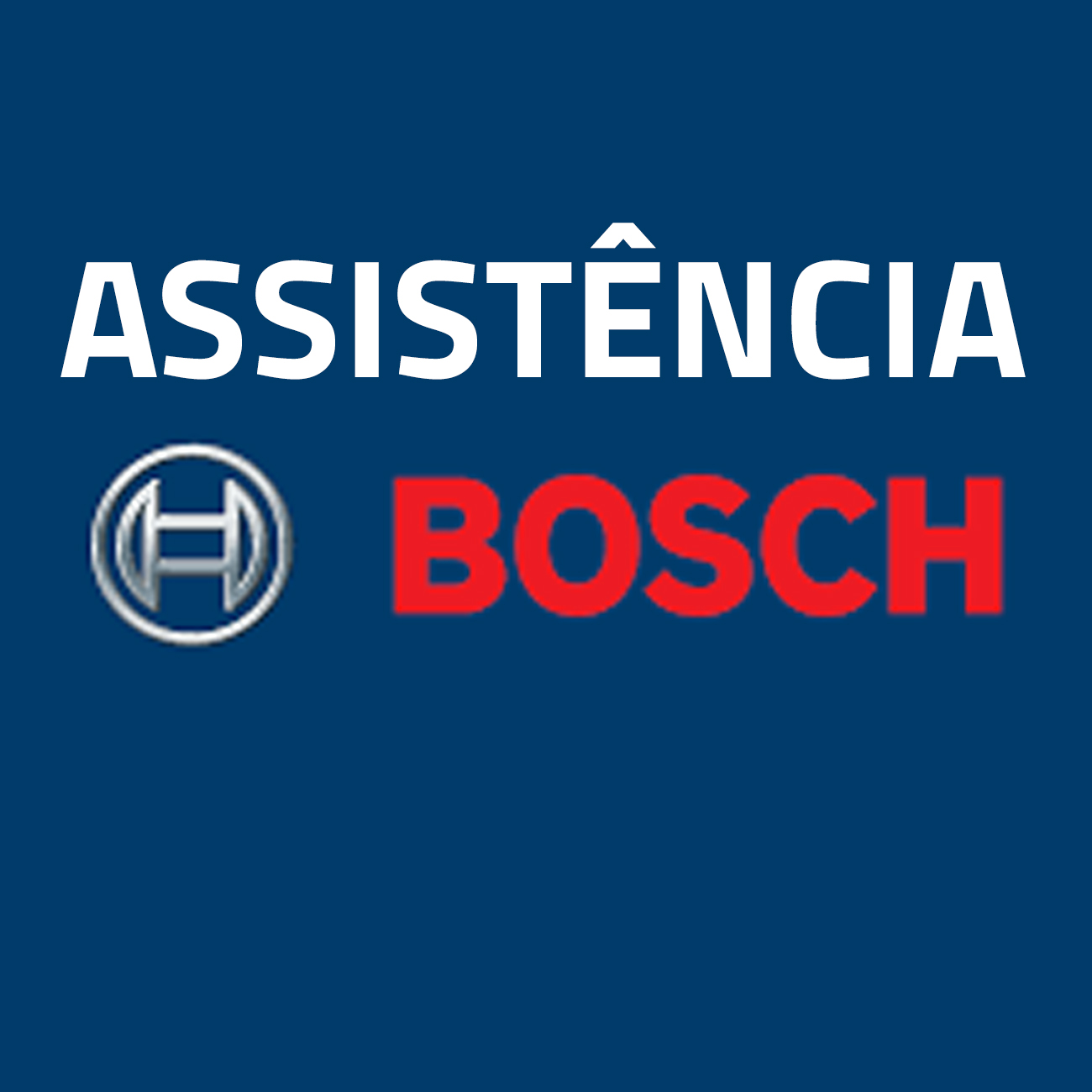 Bosch Assistência